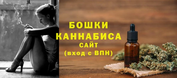 соль ск Бронницы