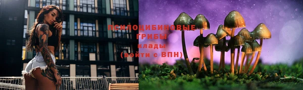 соль ск Бронницы