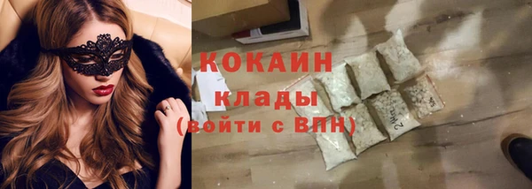 тгк Бородино