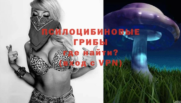 тгк Бородино